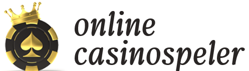 Online Casino Speler
